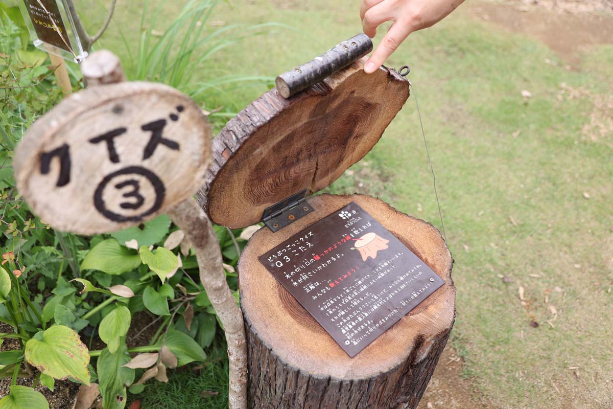 クイズも設けられている