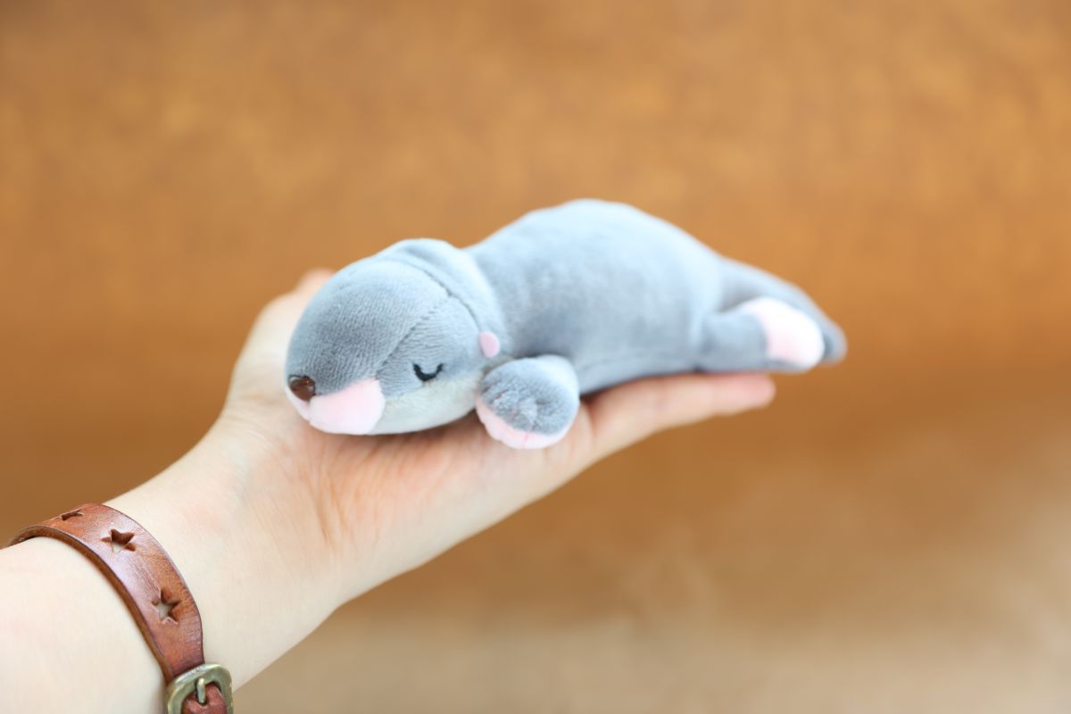 「ユーラシアカワウソ0日齢」1000円