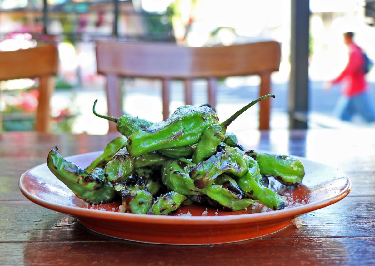 「グリルド・シシトウペッパー」$8