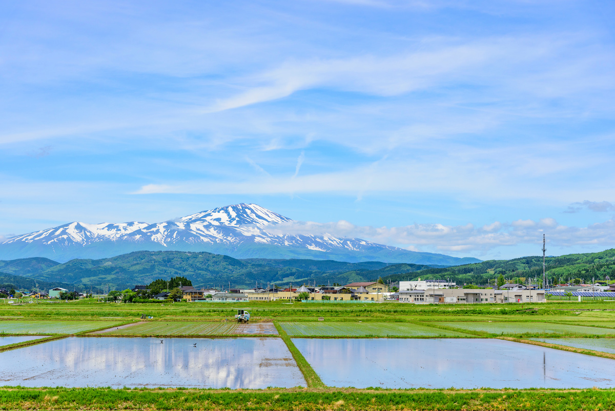 庄内平野から望む鳥海山
