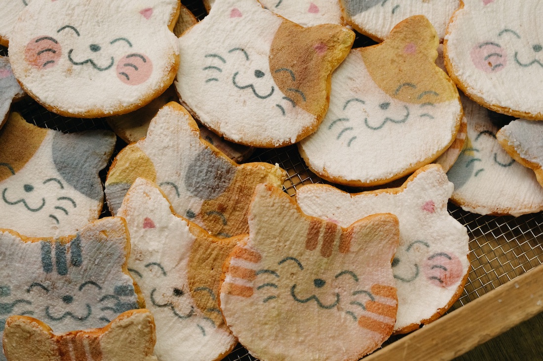 「七福にゃんべい」7枚入 カゴ柄袋入り1500円など