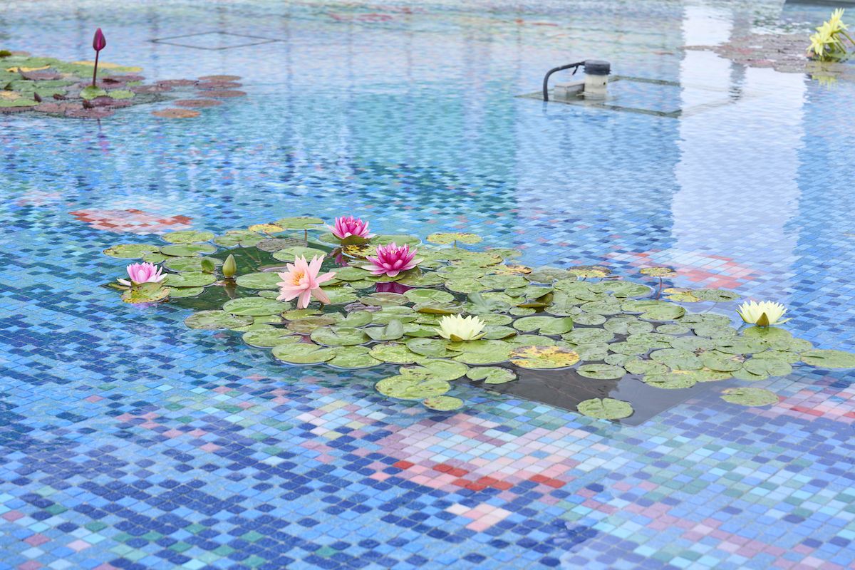 ケンジントン・ティールーム