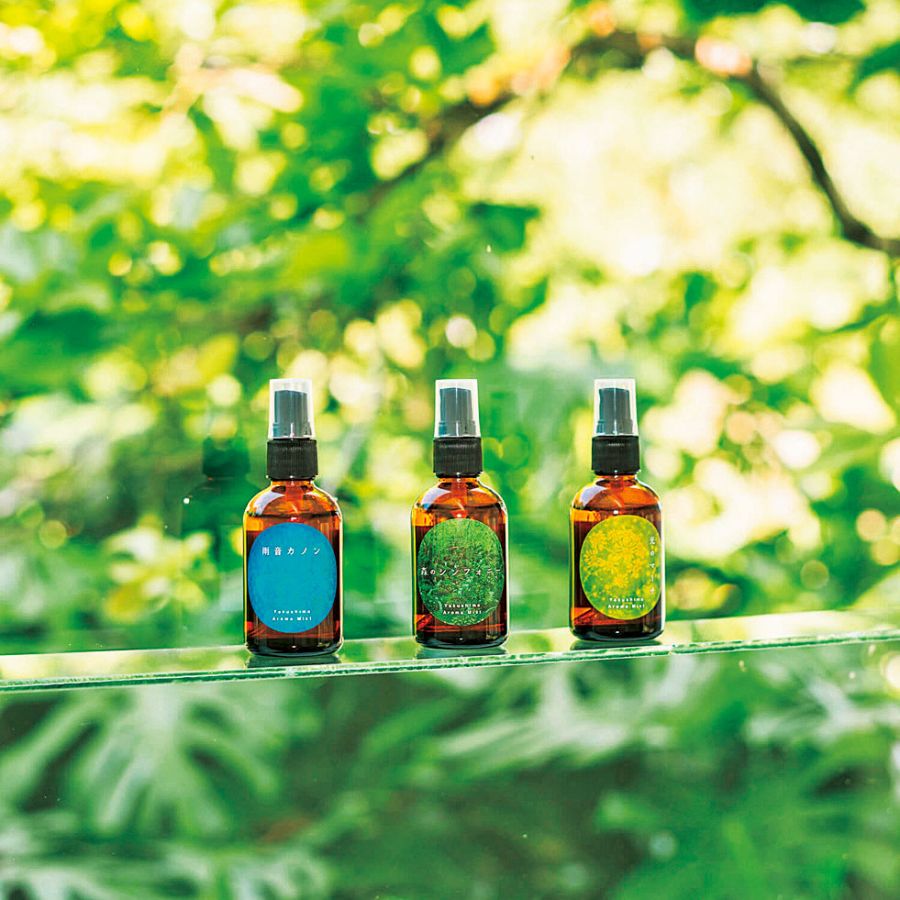 森の清々しい香りを自宅に持ち帰ろう