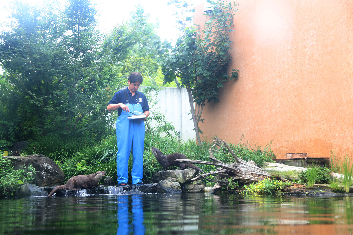 エサやりタイムは必見！