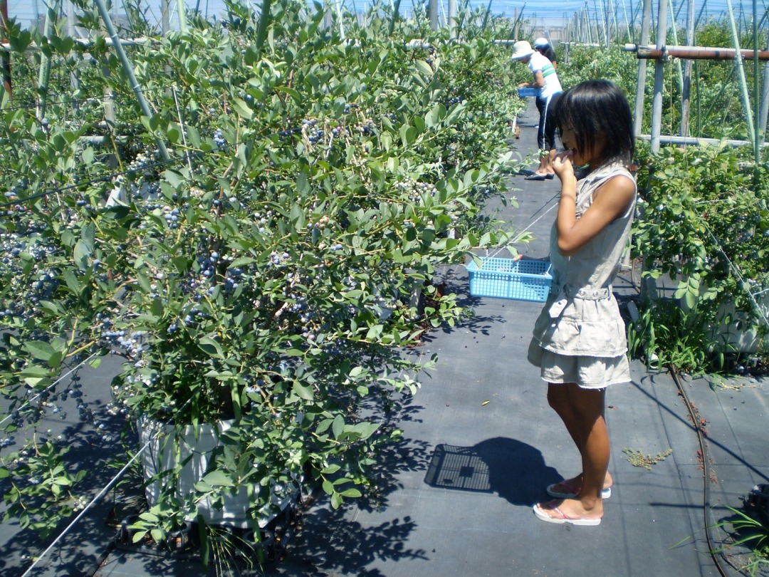 アグリネット琴浦