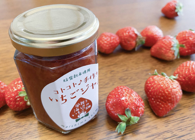 風舞う海辺のいちご畑