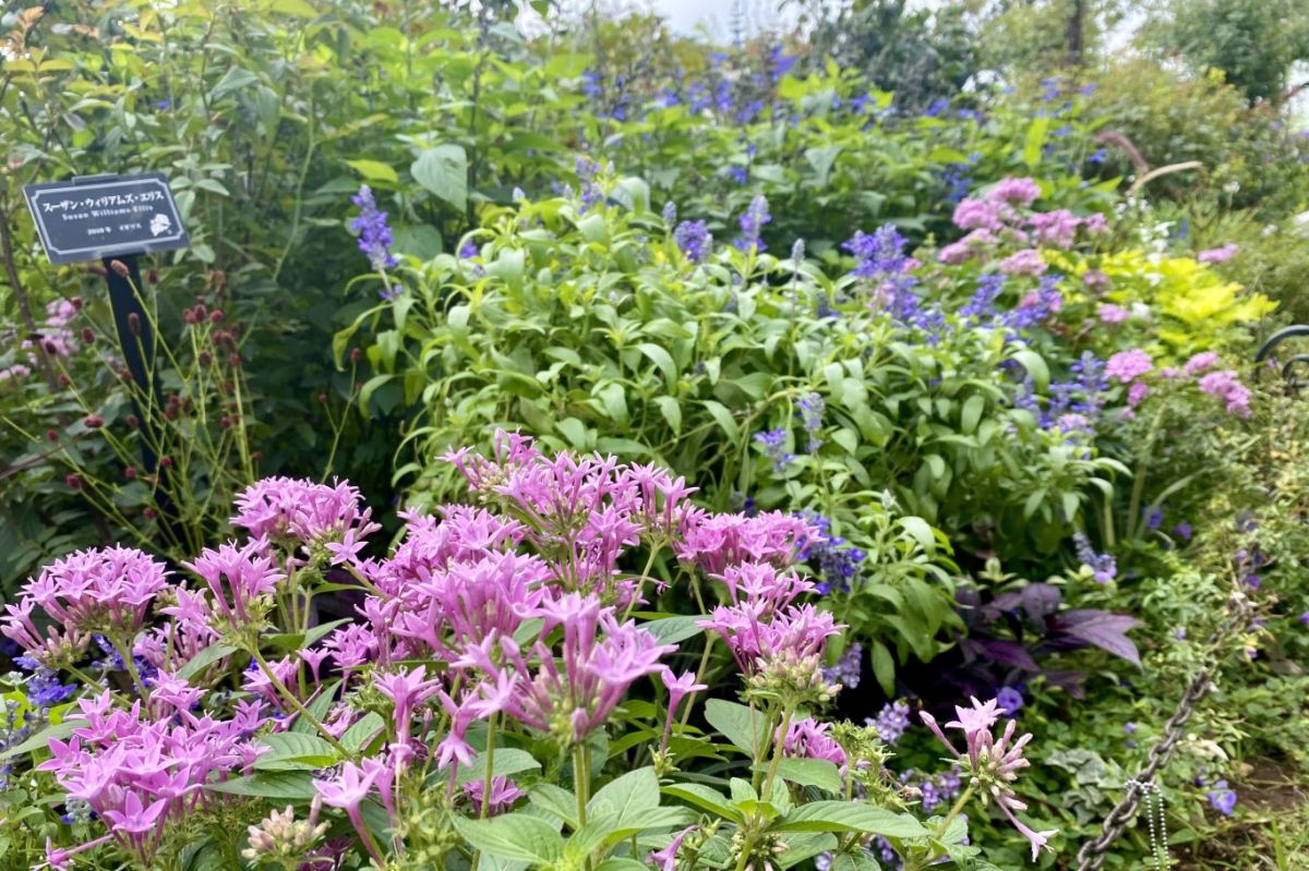 港の見える丘公園