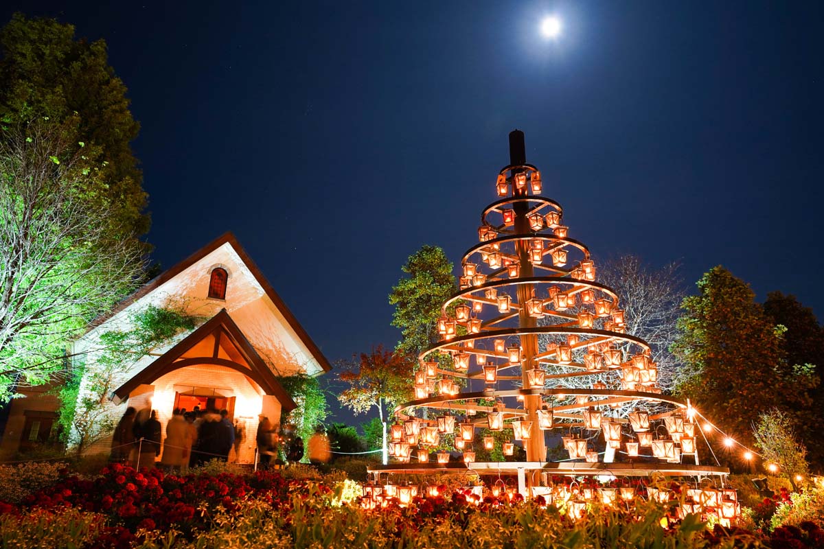 「光と緑のチャペル」がキャンドル型LEDライトで照らされる