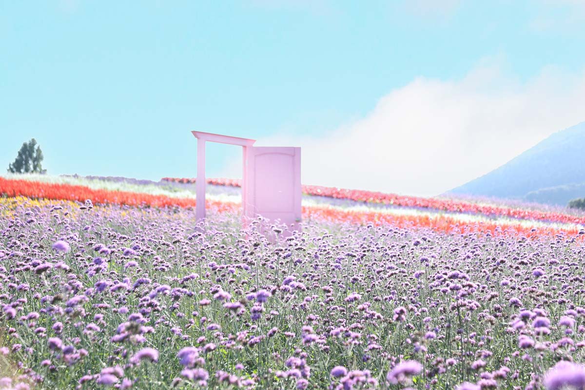 ふるるの丘にあるピンクの扉