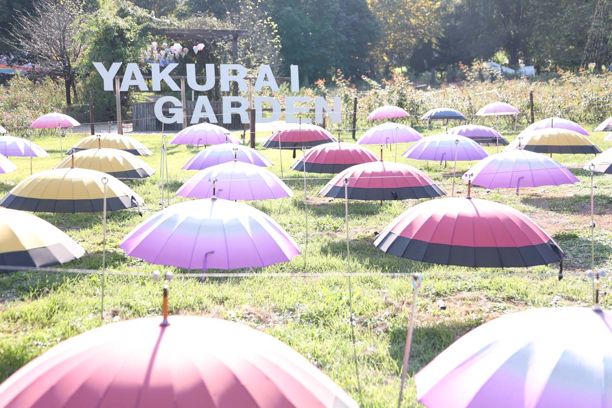 アンブレラストリート