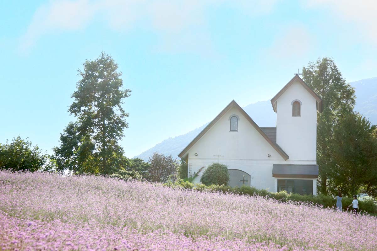 光と緑のチャペル