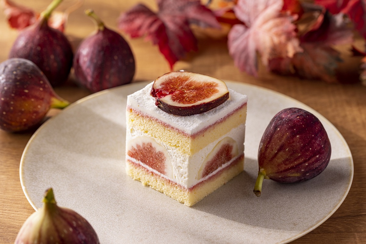 「ガトー・フィグ  Gateau Figure」900円（税込）