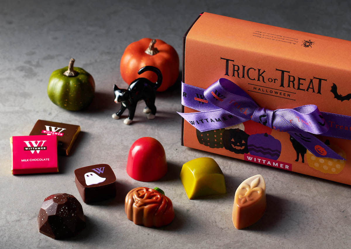 ※写真はイメージです。猫やかぼちゃの置物は商品には含まれません。