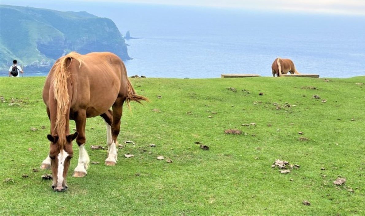 フェリーで行く神秘の島旅。隠岐の島々でパワースポット巡り