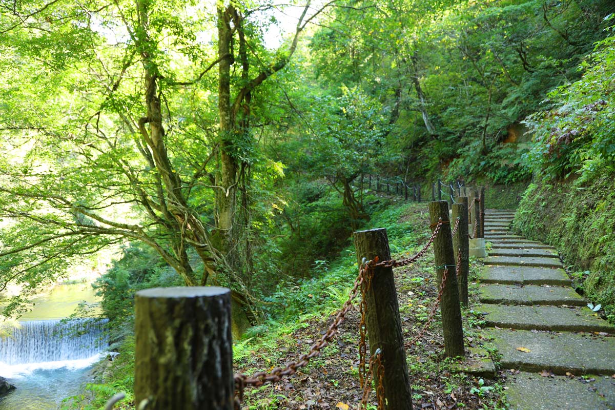 階段は比較的なだらかなところも。タイミングがよければ電車が通る姿も見られる