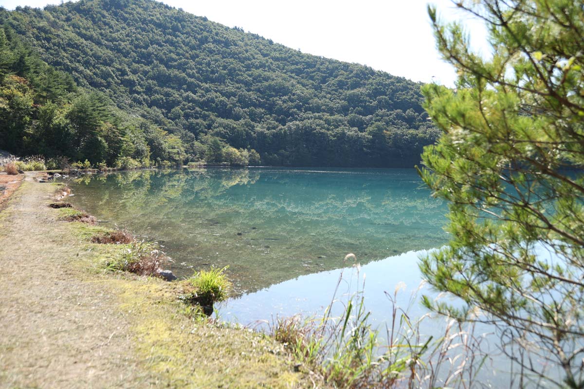 遊歩道をゆっくりおさんぽしよう