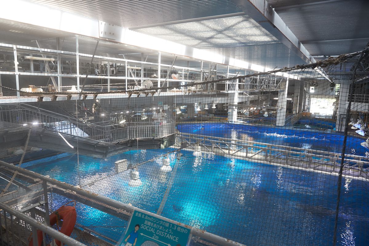 黒潮探検（水上観覧コース）