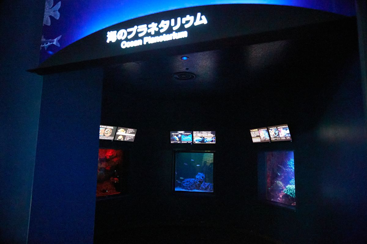「海のプラネタリウム」
