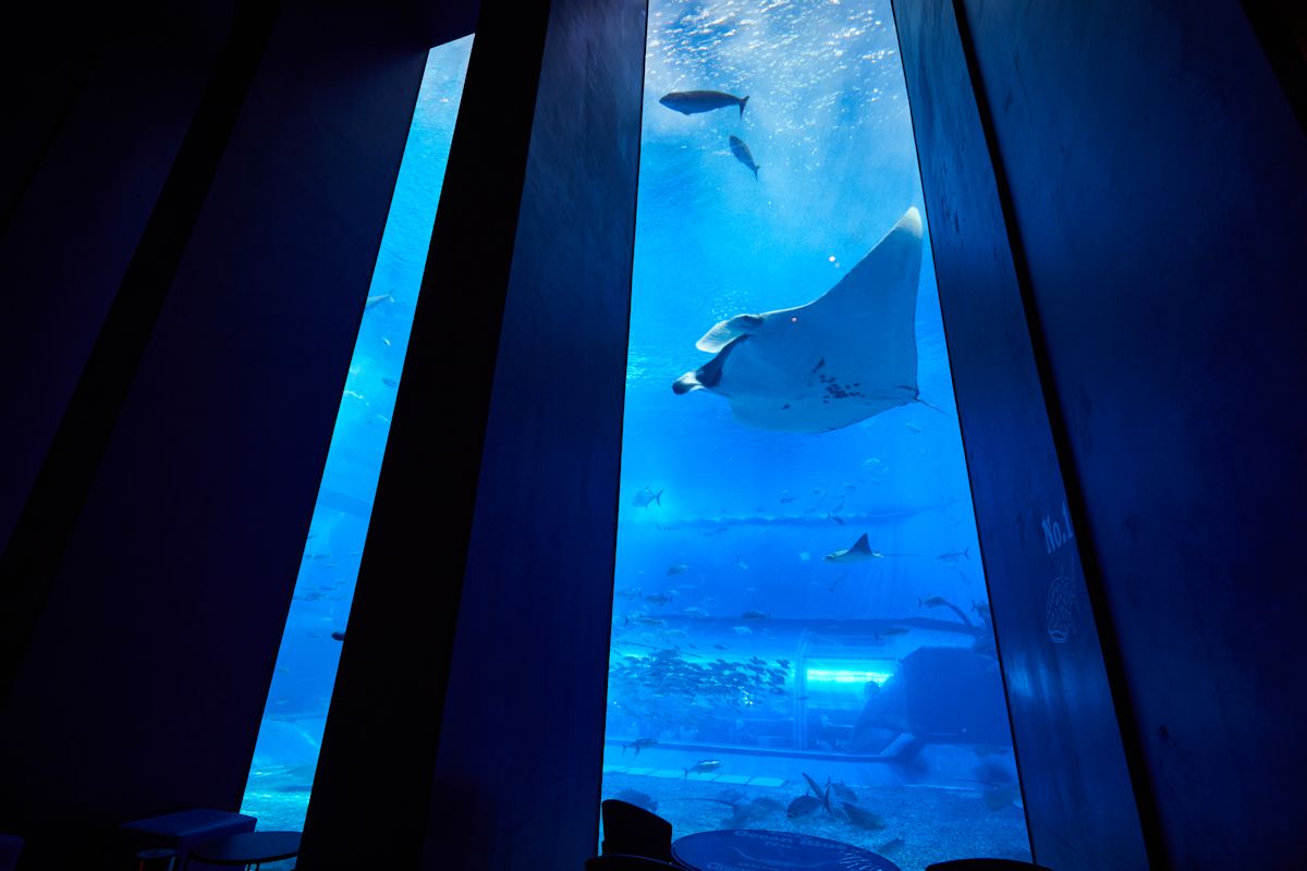 カフェ「オーシャンブルー」の有料指定席から見た「黒潮の海」