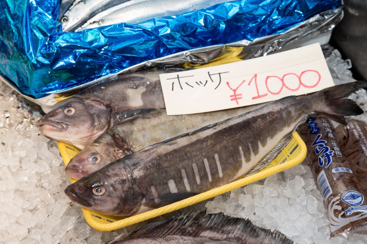 シハチ 店に並ぶ鮮魚