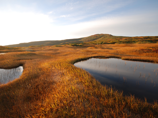 山形県でおすすめの紅葉名所～見頃やライトアップなどの2025年情報～