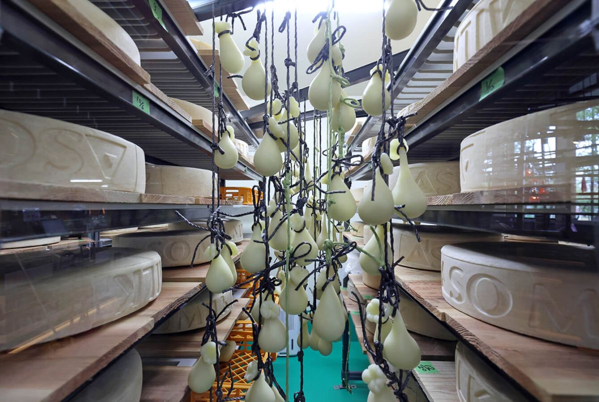 店の一角に小窓があり、熟成中のチーズを見ることができます