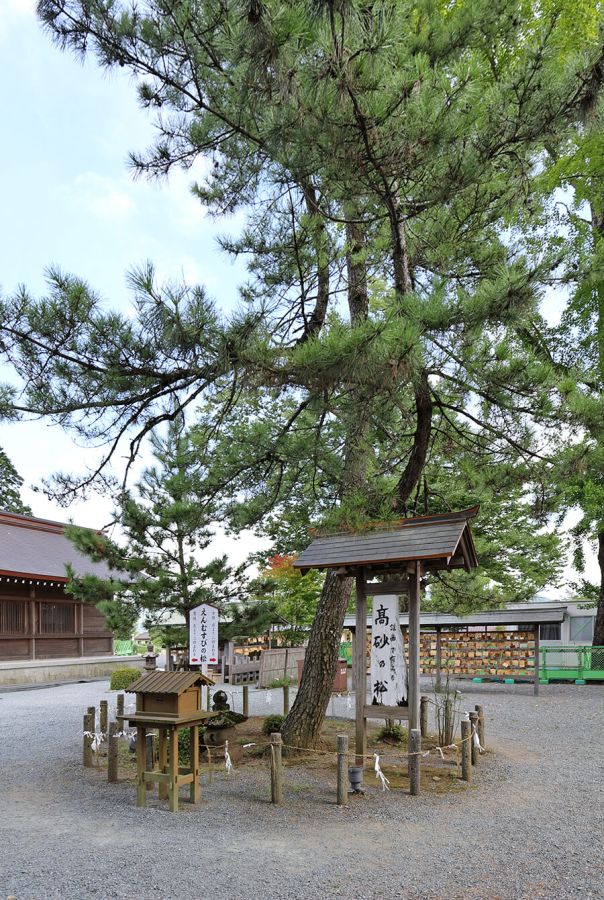 良縁を求めて多くの人が訪れる「高砂の松」