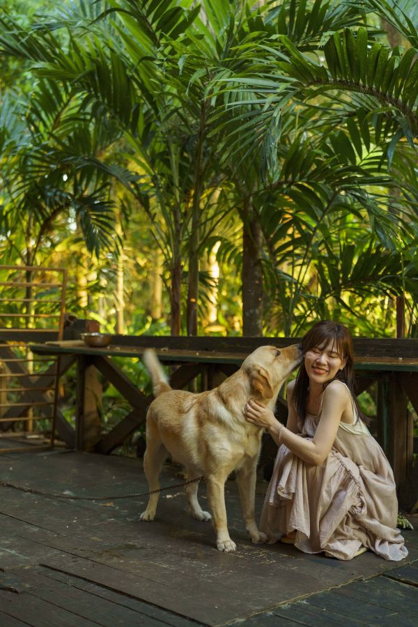 「fuu cafe」の看板犬・アッシュとの出逢いも忘れられない思い出に。癒されました…♪