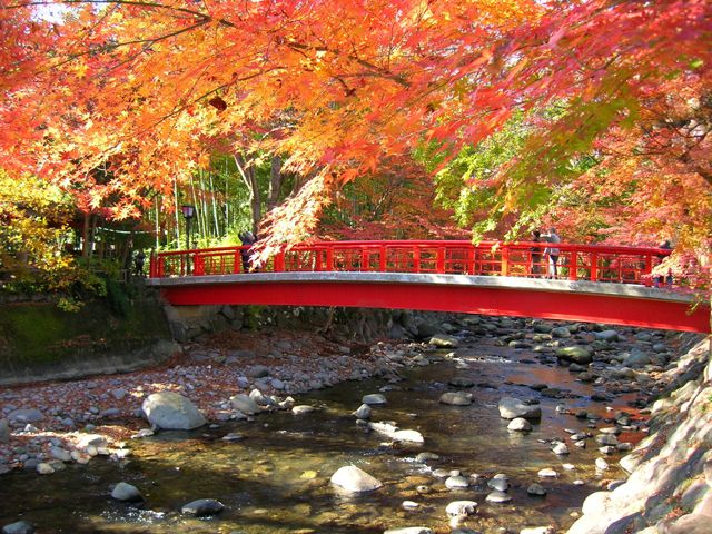 静岡県