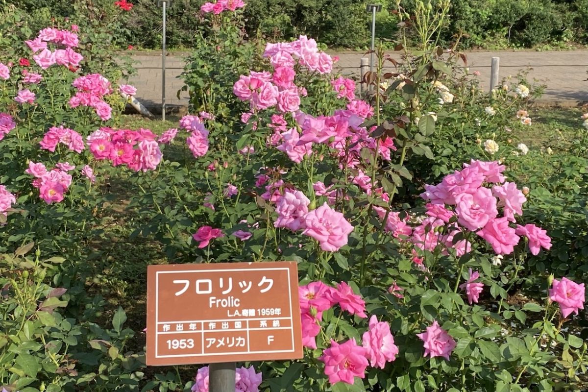 神代植物公園