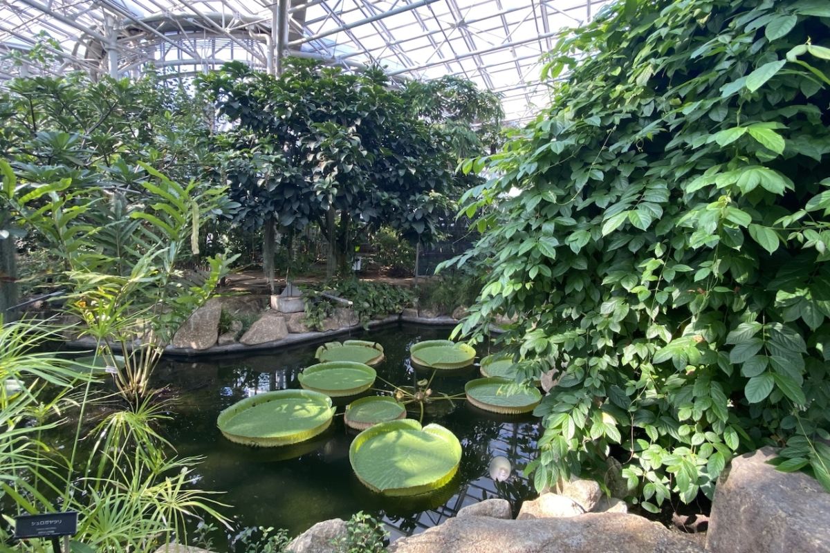 神代植物公園