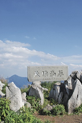 遊歩道が整備され歩きやすいです