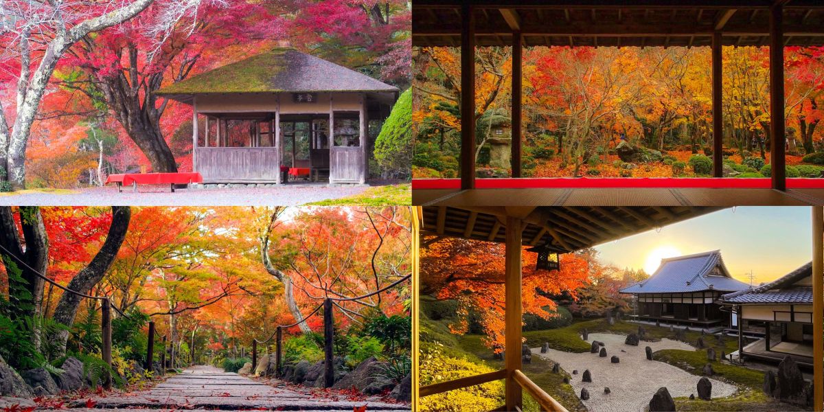 【京都】癒やしの絶景紅葉スポット5選|映え写真を撮るコツもレクチャー!