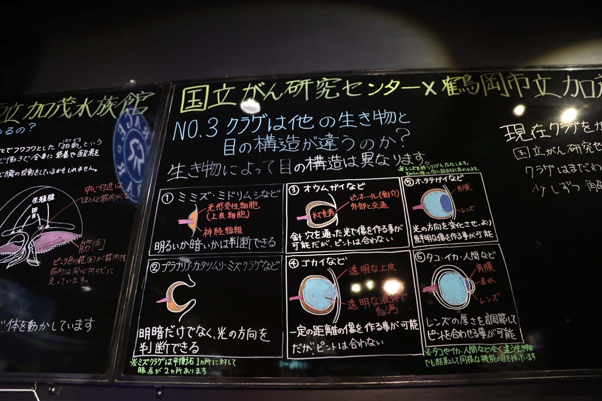 手書きの解説もわかりやすく、みんな興味深々！