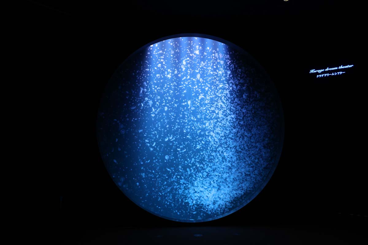 大きな丸い窓に約1万匹のミズクラゲが浮遊する「クラゲドリームシアター」