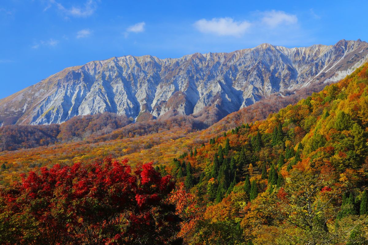 大山の岩肌とブナの森が見られる鍵掛峠からの眺め