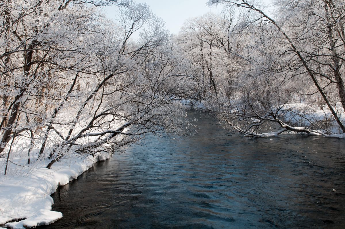 冬の釧路川源流