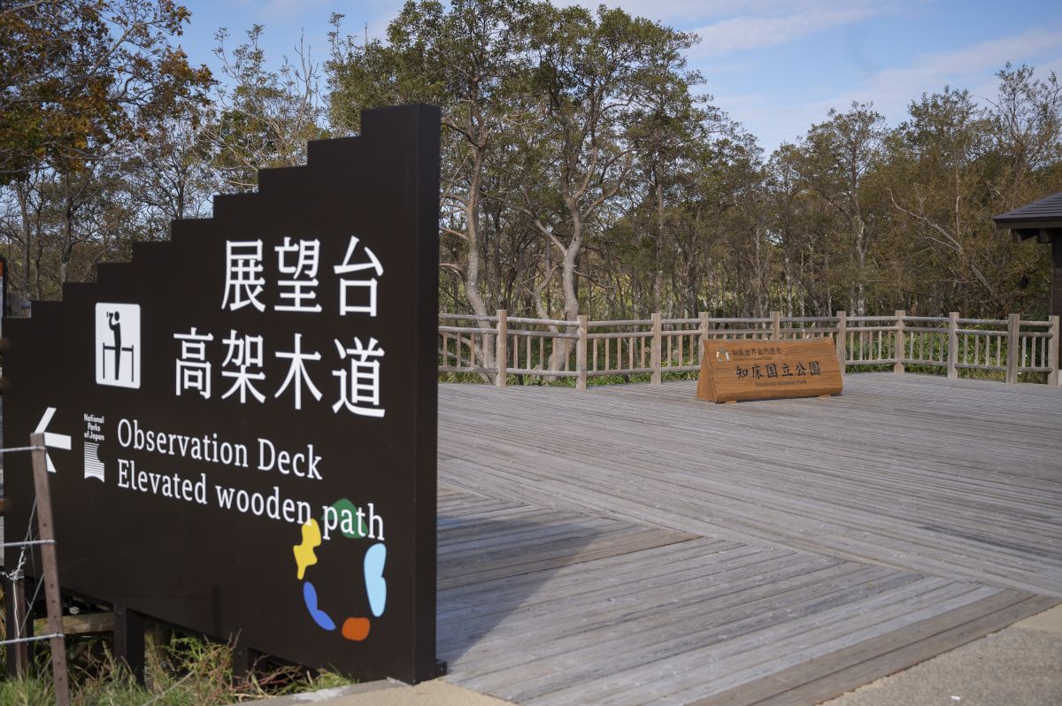 知床五湖の高架木道