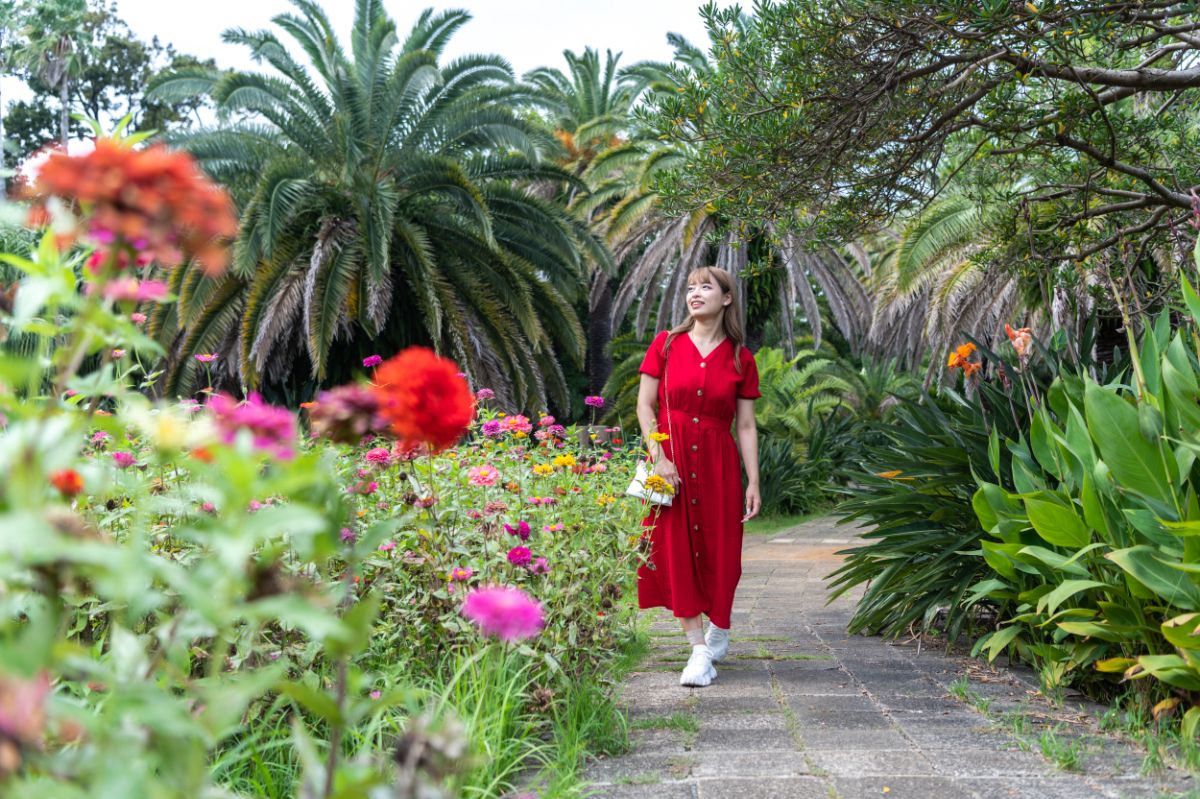 鮮やかな花たちと一緒に撮影