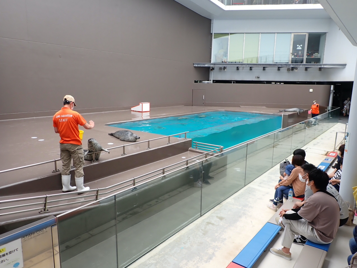 ひれあし広場では、毎日11時～、13時～、15時～に飼育員が解説する「ひれあし時間」が行われる