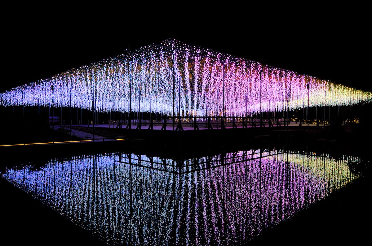 光のふじのはな物語 ２