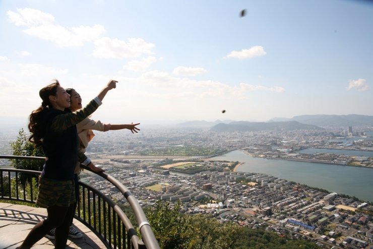 獅子の霊巌展望台