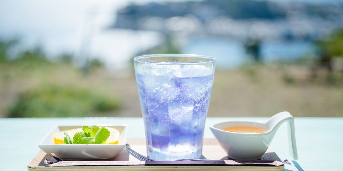 【伊豆・稲取】海を見下ろす絶景カフェ！「Manas-CAFE」のフォトジェニックなメニューと、キラキラ光るオーシャンビューで元気を充電！
