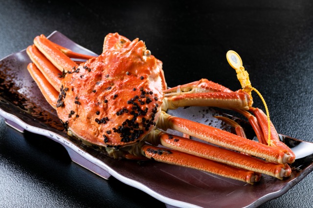 厳しい基準をクリアしたカニにのみ付けられる黄色のタグが越前がにの目印