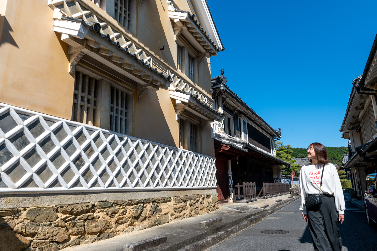 八日市・護国の町並み