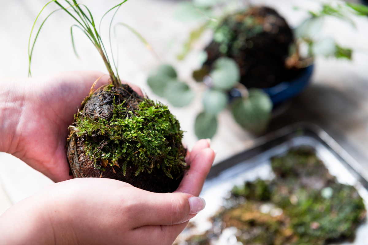 手しごと職人の家 うちこの和