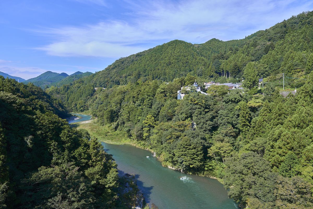 Rose Town Tea Garden