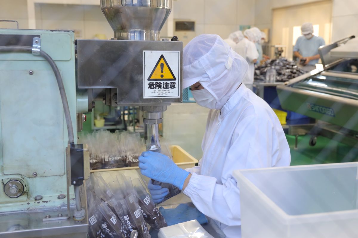 袋詰めの行程も見学できる（曜日や時間帯によって作業を休止している場合あり）