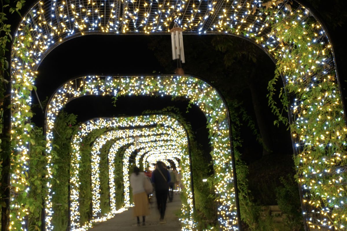 いばらきフラワーパークのイルミネーション2022は「灯す ひかりとつながる夜」。2022年11月12日(土)スタート!