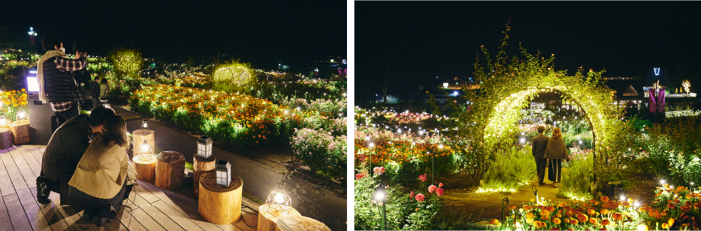 いばらきフラワーパークのイルミネーション2022は「灯す ひかりとつながる夜」。2022年11月12日(土)スタート!